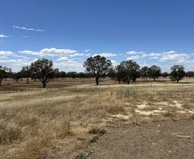 Rural / Farming commercial property sold at 227 Possinghams Road Naracoorte SA 5271