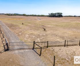 Rural / Farming commercial property for sale at 640 Waitpinga Road Waitpinga SA 5211