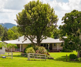 Rural / Farming commercial property for sale at 656 Hunchy Road Hunchy QLD 4555
