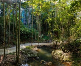 Rural / Farming commercial property for sale at 196-276 Kaiser Road Tamborine Mountain QLD 4272