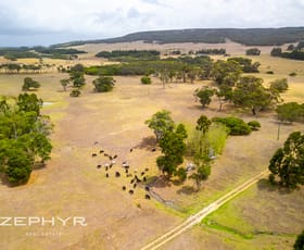 Rural / Farming commercial property for sale at Mount Richard Road Nanarup WA 6330