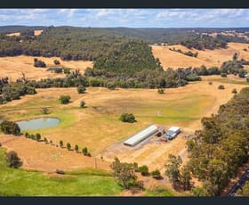 Rural / Farming commercial property for sale at 1029 Donnybrook-Boyup Brook Rd Queenwood WA 6239