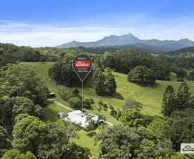 Rural / Farming commercial property for sale at 354 Kunghur Creek Road Kunghur Creek NSW 2484