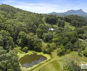 Rural / Farming commercial property for sale at 354 Kunghur Creek Road Kunghur Creek NSW 2484 Rural / Farming commercial property for sale at 354 Kunghur Creek Road Kunghur Creek NSW 2484