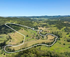 Rural / Farming commercial property for sale at 602 Gradys Creek Road Gradys Creek NSW 2474