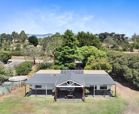 Rural / Farming commercial property for sale at 100 Silbys Road Darnum VIC 3822