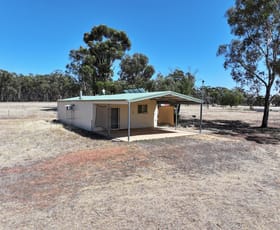 Rural / Farming commercial property for sale at 243 Wet Lane Inglewood VIC 3517