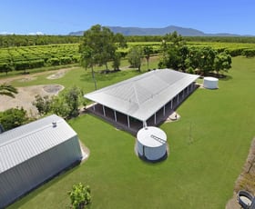 Rural / Farming commercial property for sale at 184 Dingo Park Road Woodstock QLD 4816