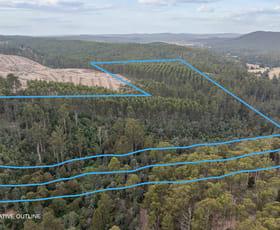 Rural / Farming commercial property for sale at 235 Butlers Road Lebrina TAS 7254
