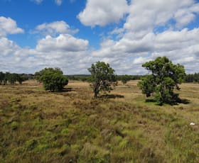 Rural / Farming commercial property for sale at 1045 Baltimore Loop Road Texas NSW 4385