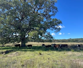 Rural / Farming commercial property for sale at 1045 Baltimore Loop Road Texas NSW 4385