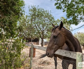 Rural / Farming commercial property for sale at 1788 Heathcote-Redesdale Road Mia Mia VIC 3444