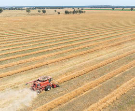 Rural / Farming commercial property for sale at 412 McPhersons Road Lilliput VIC 3682