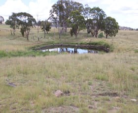 Rural / Farming commercial property for sale at 625 Woodside Road Tenterfield NSW 2372