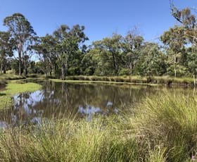 Rural / Farming commercial property for sale at 329 Carbean Road Karara QLD 4352