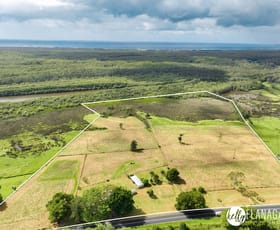 Rural / Farming commercial property for sale at 2774 South West Rocks Road Jerseyville NSW 2431