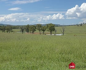 Rural / Farming commercial property for sale at 95 Monto Mount Perry Road Tellebang QLD 4630