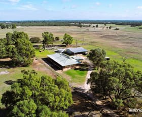 Rural / Farming commercial property for sale at 1046 Gingin Brook Road Muckenburra WA 6503