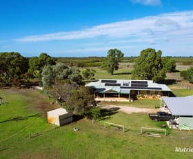 Rural / Farming commercial property for sale at 1046 Gingin Brook Road Muckenburra WA 6503