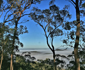 Rural / Farming commercial property for sale at Milsons Arm Road Wollombi NSW 2325