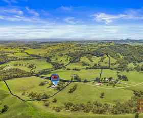 Rural / Farming commercial property for sale at 138 Gearys Crossing Road Singleton NSW 2330
