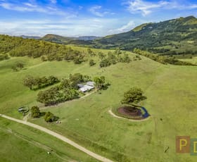 Rural / Farming commercial property for sale at 138 Gearys Crossing Road Singleton NSW 2330