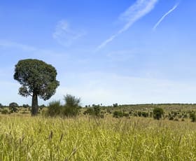 Rural / Farming commercial property for sale at 3760 Mitchell-St George Road Mitchell QLD 4465