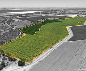 Rural / Farming commercial property for sale at 182 Carey Street and 210 Dumosa Street Red Cliffs VIC 3496