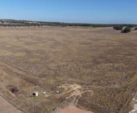 Rural / Farming commercial property for sale at Lot 9 Calytrix View Bonniefield WA 6525