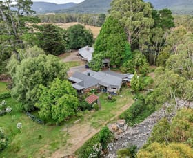 Rural / Farming commercial property for sale at 496 Blackwood Creek Road Blackwood Creek TAS 7301