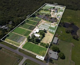Rural / Farming commercial property for sale at 65 Eastwood Street Chandler QLD 4155