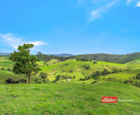 Rural / Farming commercial property for sale at Lot 110 Tipperary Road, Tipperary via Gloucester NSW 2422