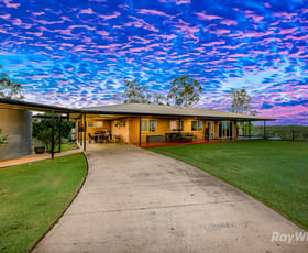 Rural / Farming commercial property for sale at 246 Broadmeadows Road Moolboolaman QLD 4671