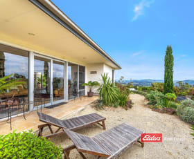 Rural / Farming commercial property for sale at 115 Wang Wauk Forest Way, Willina via Coolongolook NSW 2423