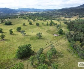 Rural / Farming commercial property for sale at 10 Razorback Creek Road Rivertree NSW 2372