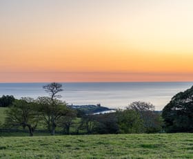Rural / Farming commercial property for sale at 164 Princes Highway Kiama Heights NSW 2533