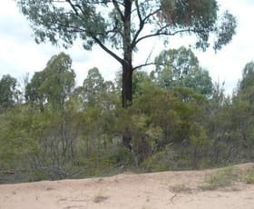 Rural / Farming commercial property for sale at Lot 167 Thegathlyn Road Tara QLD 4421