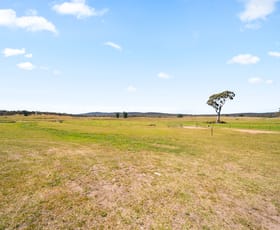 Rural / Farming commercial property for sale at 1193 Euradux Road Braidwood NSW 2622