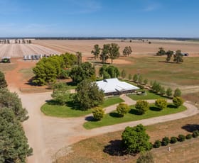 Rural / Farming commercial property sold at 469 Brushwood Road Currawarna NSW 2650