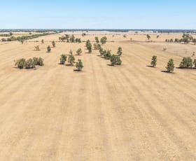 Rural / Farming commercial property for sale at 153 Balldale-Coreen Road Corowa NSW 2646