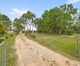 Rural / Farming commercial property for sale at 249 Granite Belt Drive Thulimbah QLD 4376
