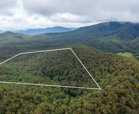 Rural / Farming commercial property for sale at Berrico NSW 2422