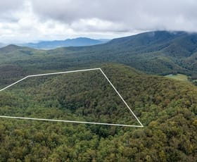 Rural / Farming commercial property for sale at Berrico NSW 2422