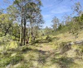 Rural / Farming commercial property for sale at 25 Warm Corners Track Bonang VIC 3888