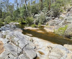 Rural / Farming commercial property for sale at 25 Warm Corners Track Bonang VIC 3888