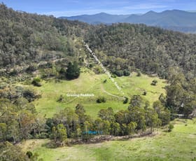 Rural / Farming commercial property for sale at 25 Warm Corners Track Bonang VIC 3888