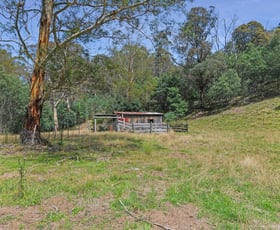 Rural / Farming commercial property for sale at 25 Warm Corners Track Bonang VIC 3888
