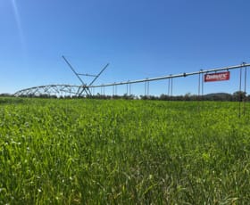 Rural / Farming commercial property for sale at 137 Fletchers Lane Wagga Wagga NSW 2650