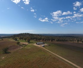 Rural / Farming commercial property for sale at 135 Burundah Drive Warialda NSW 2402 Rural / Farming commercial property for sale at 135 Burundah Drive Warialda NSW 2402