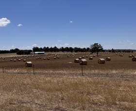 Rural / Farming commercial property for sale at 1128 Bokal South Road Moodiarrup WA 6393